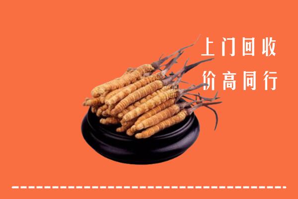 高价求购：眉山回收散虫草