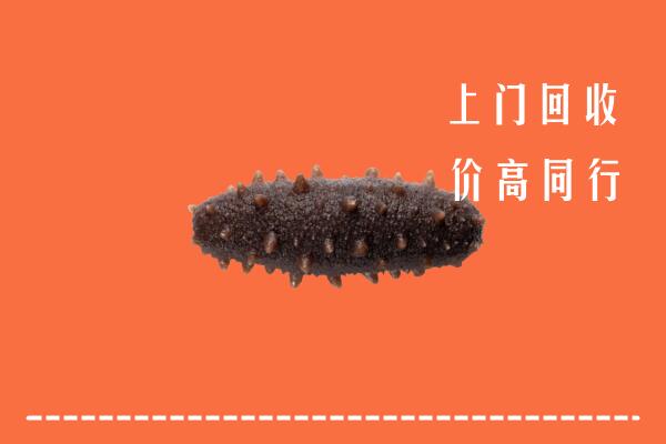 高价求购：眉山回收海参