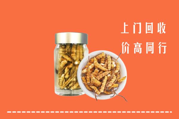 眉山回收冬虫夏草